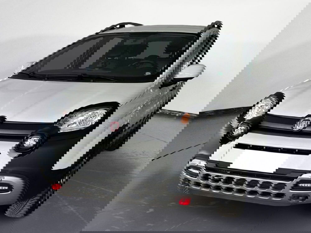 Fiat Panda Cross usata a Bergamo