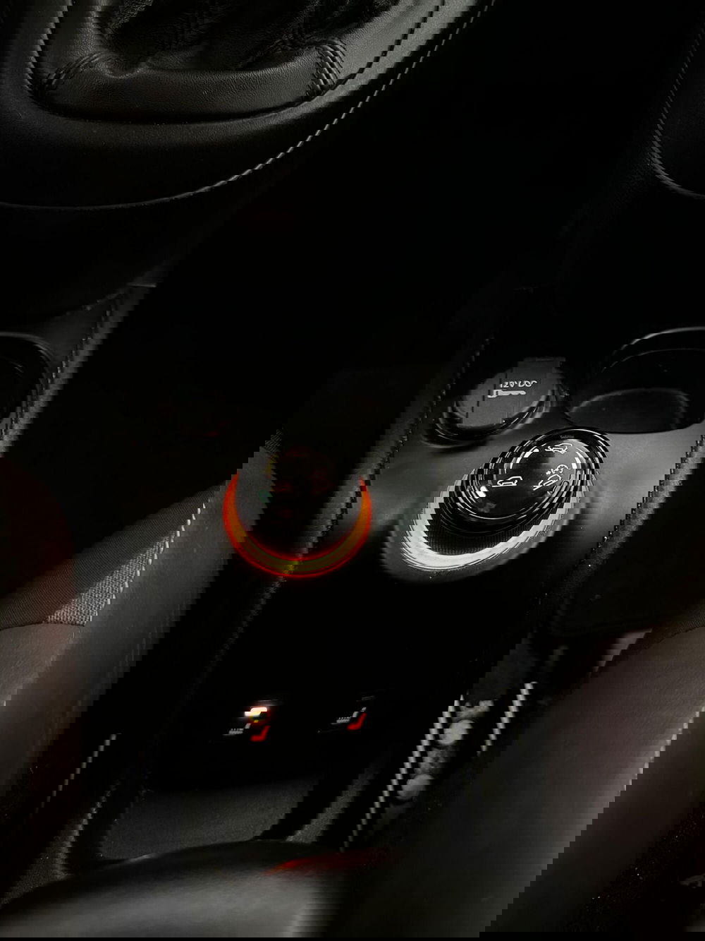 Fiat Panda Cross usata a Bergamo (7)