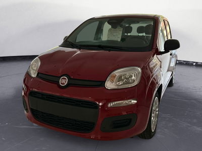 Fiat Panda Cross Cross 1.0 FireFly S&amp;S Hybrid del 2025 usata a Gazzaniga