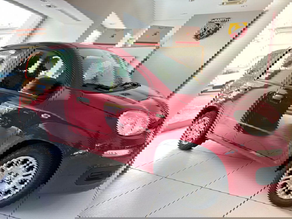 Fiat Panda Cross usata a Bergamo (2)