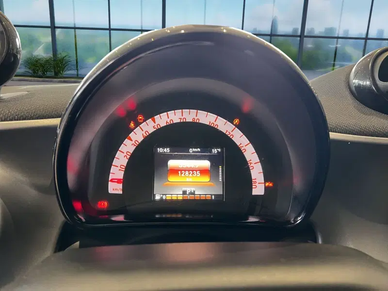 smart forfour usata a Cosenza (11)