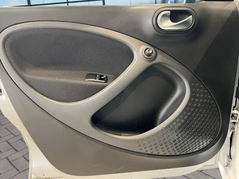 smart forfour usata a Cosenza (12)