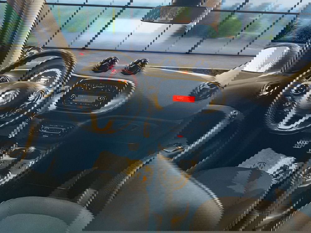 smart forfour usata a Cosenza (14)