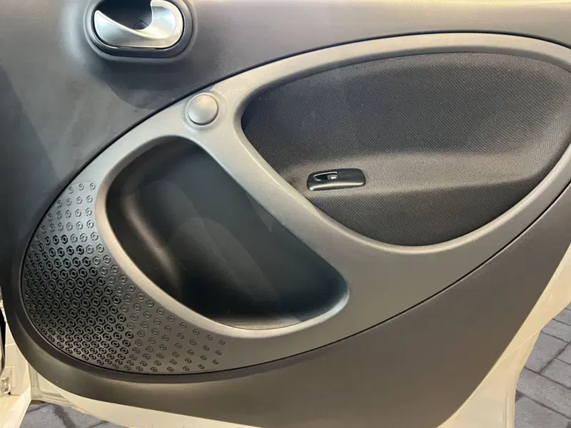 smart forfour usata a Cosenza (17)
