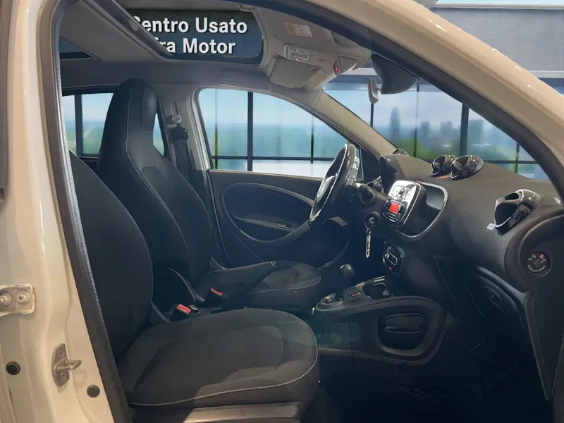 smart forfour usata a Cosenza (18)