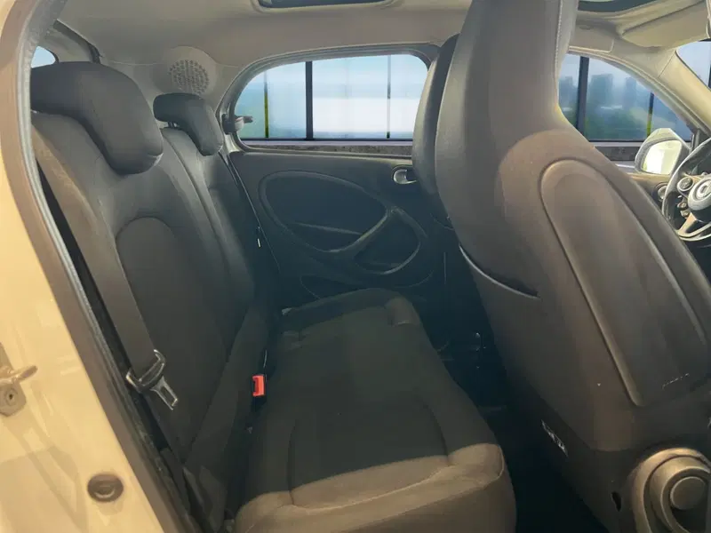smart forfour usata a Cosenza (19)