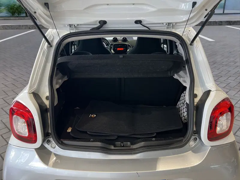 smart forfour usata a Cosenza (20)