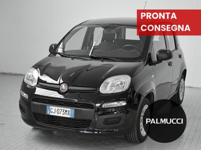 Fiat Panda Cross Cross 1.0 FireFly S&amp;S Hybrid del 2022 usata a Prato