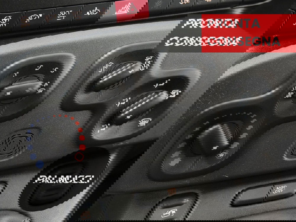 Fiat Panda Cross usata a Prato (11)