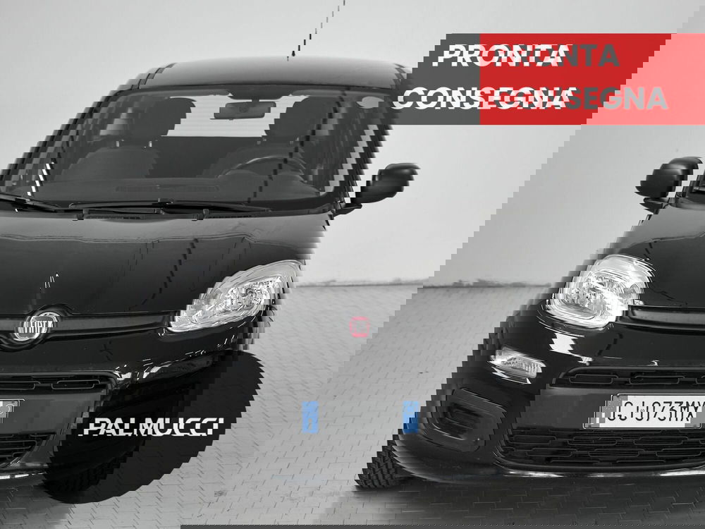 Fiat Panda Cross usata a Prato (2)