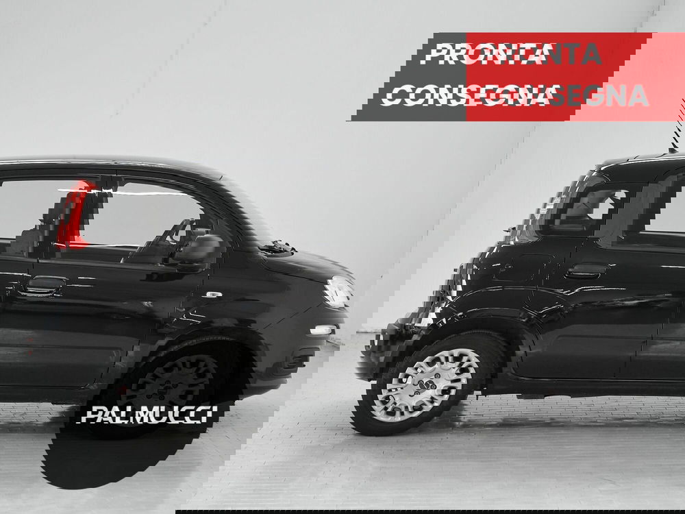 Fiat Panda Cross usata a Prato (3)