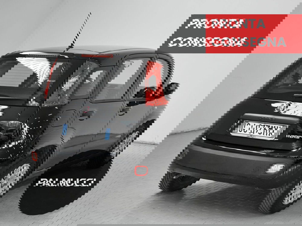 Fiat Panda Cross usata a Prato (4)