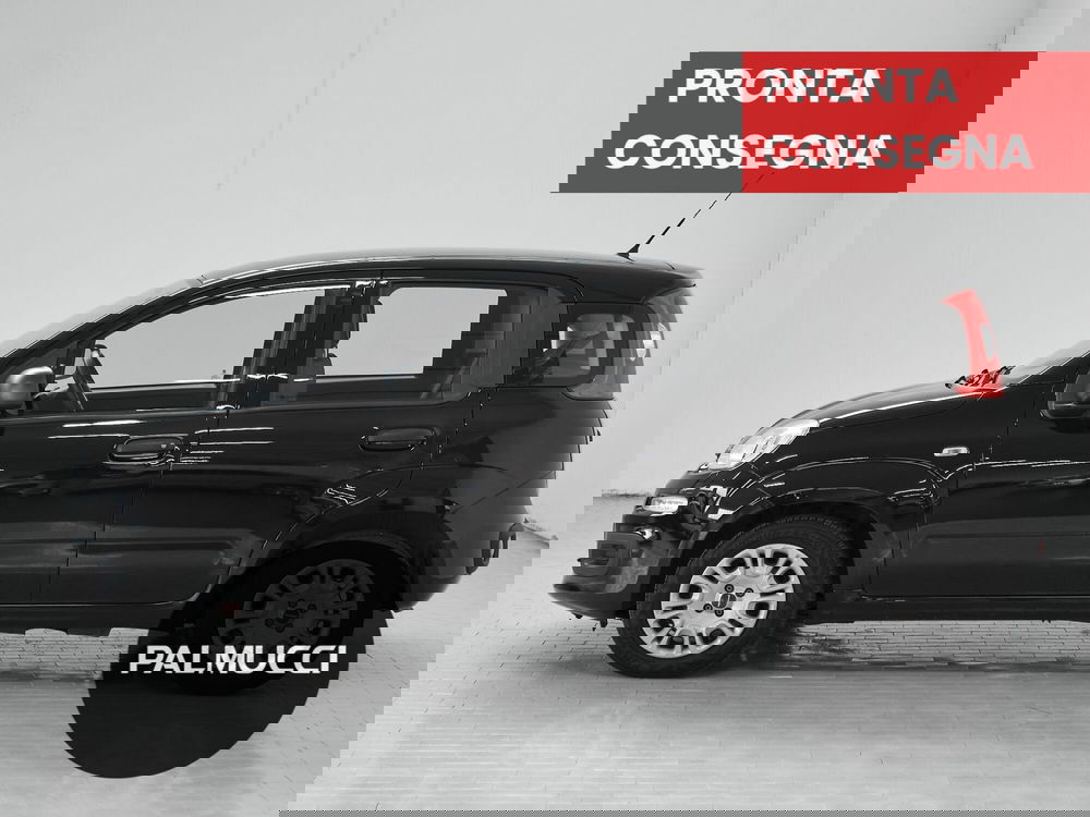 Fiat Panda Cross usata a Prato (5)