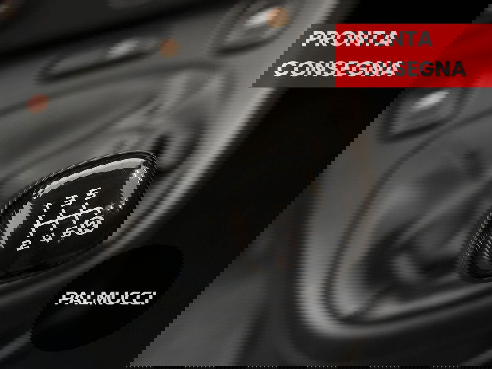 Fiat Panda Cross usata a Prato (8)