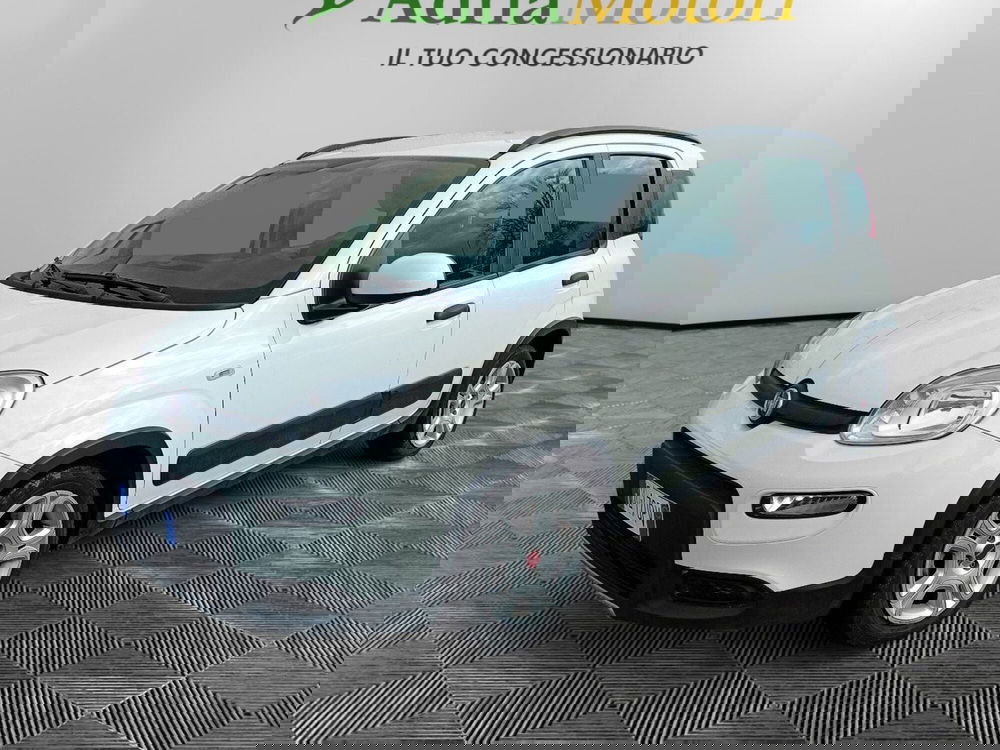 Fiat Panda usata a Pordenone