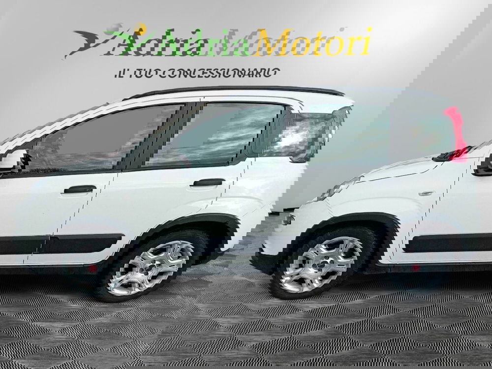 Fiat Panda usata a Pordenone (2)