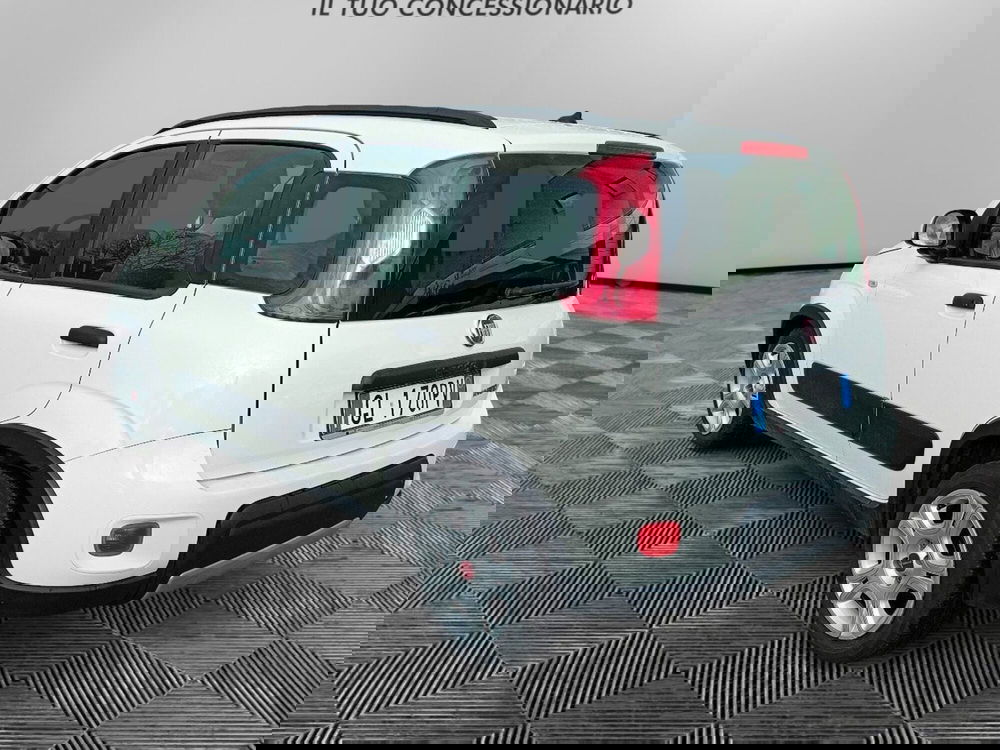 Fiat Panda usata a Pordenone (3)