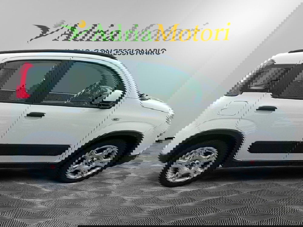 Fiat Panda usata a Pordenone (6)