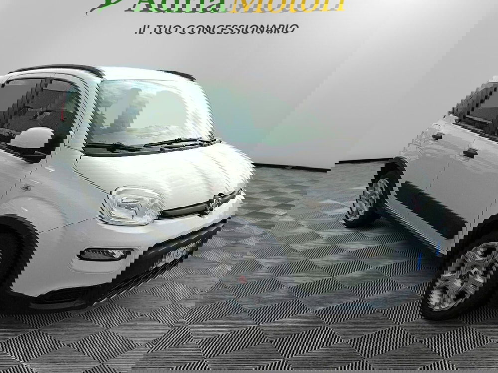 Fiat Panda usata a Pordenone (7)