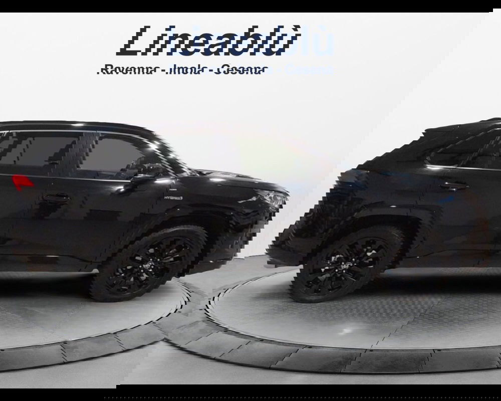 Toyota Rav4 usata a Forlì-Cesena (5)