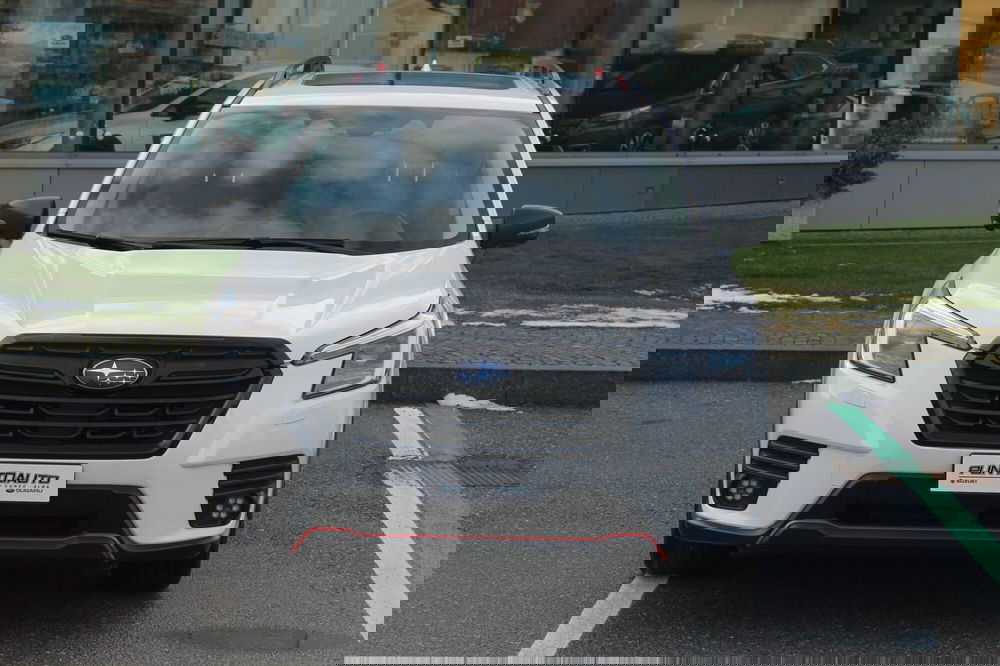 Subaru Forester usata a Cuneo (2)