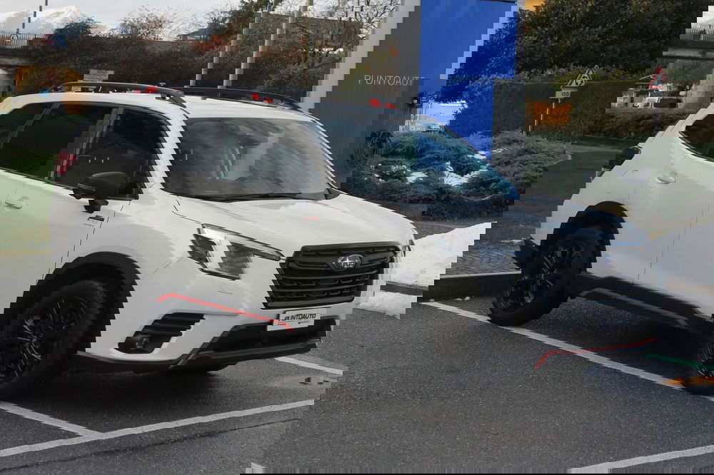 Subaru Forester usata a Cuneo (3)