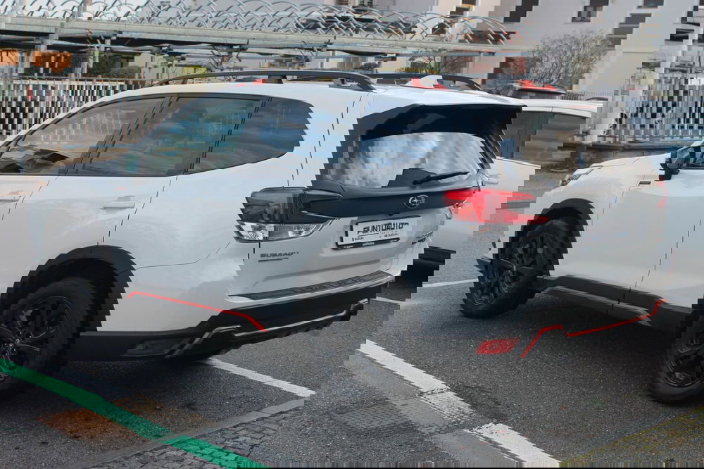 Subaru Forester usata a Cuneo (6)