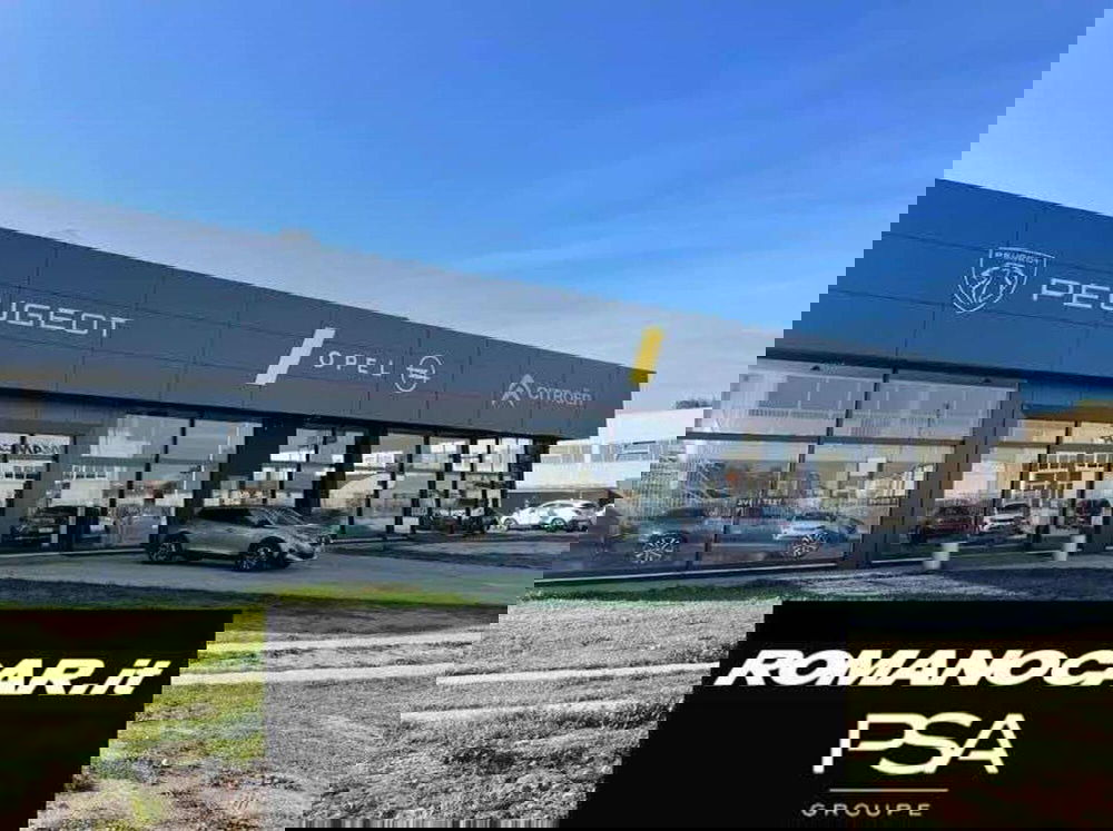 Alfa Romeo Tonale usata a Foggia (16)