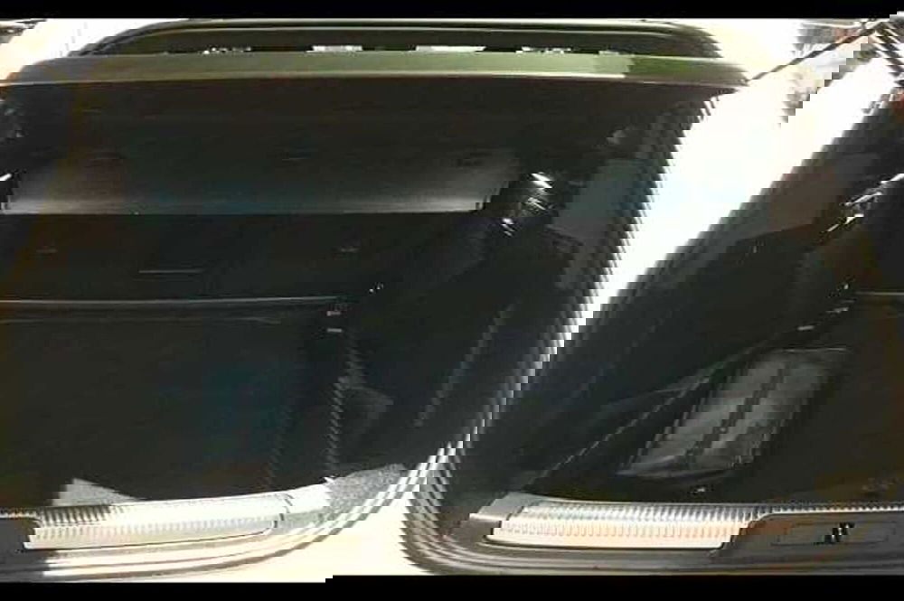 Ds DS 7 usata a Cuneo (7)