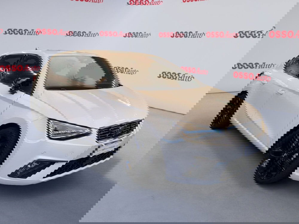 SEAT Ibiza usata a Udine (2)