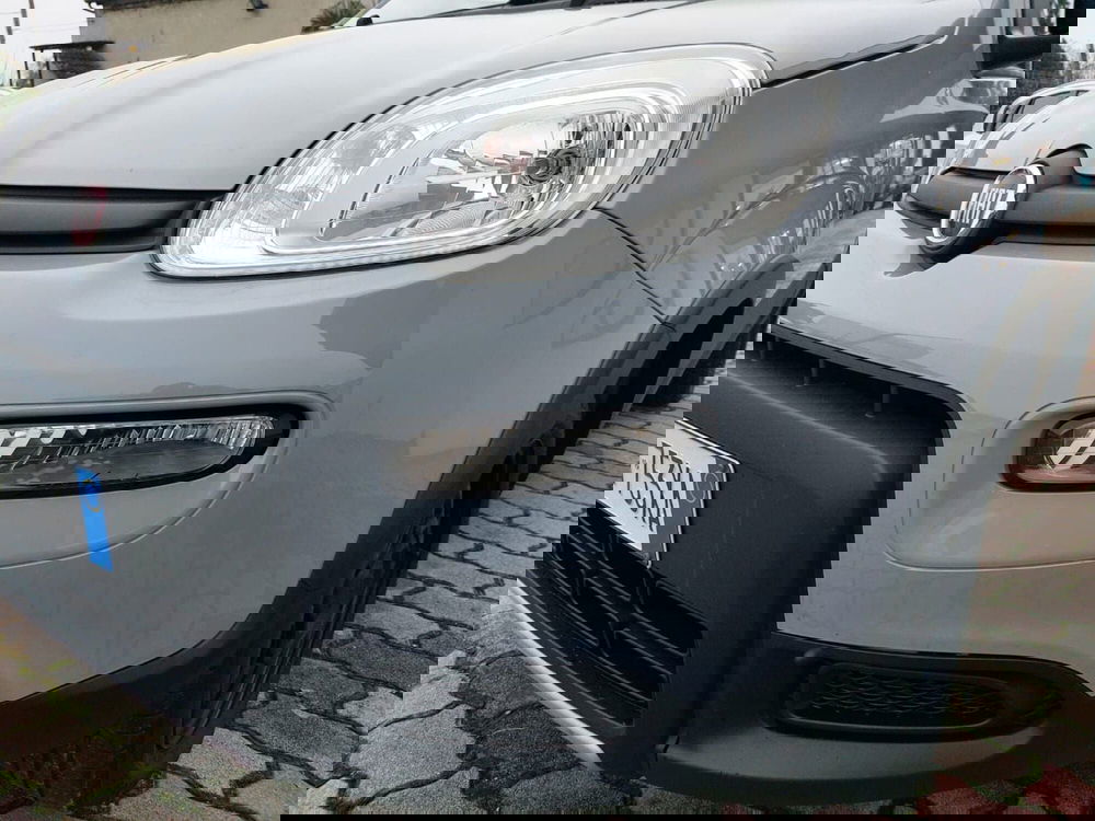 Fiat Panda usata a Pavia (12)