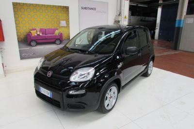 Fiat Panda 1.0 firefly hybrid s&amp;s 70cv del 2024 usata a Rho