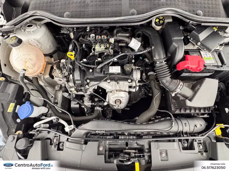 Ford Fiesta usata a Roma (12)