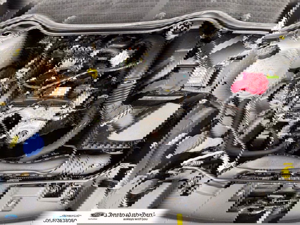 Ford Fiesta usata a Roma (12)