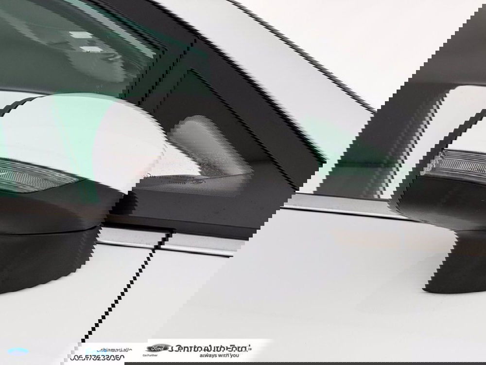 Ford Fiesta usata a Roma (15)