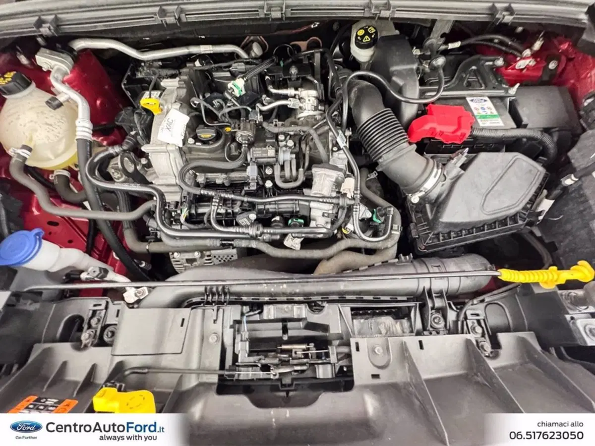 Ford Puma usata a Roma (12)