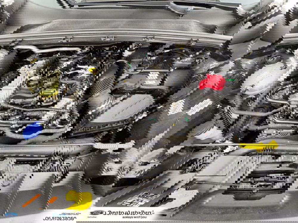 Ford Puma usata a Roma (13)