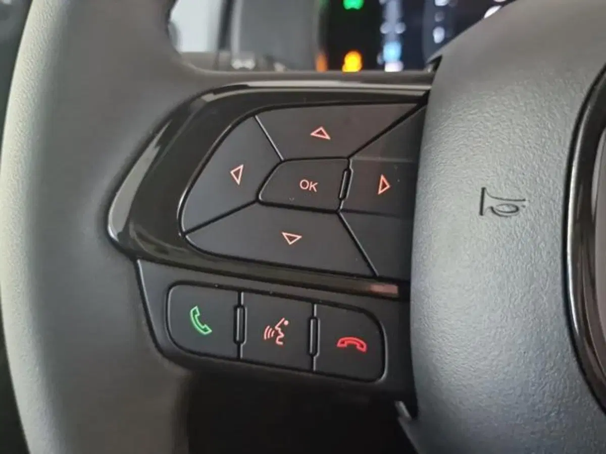 Fiat Panda Cross nuova a Salerno (20)
