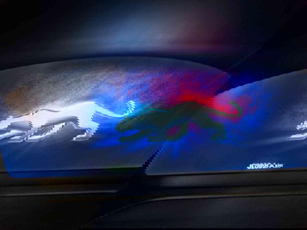 Ford Puma usata a Bologna (10)