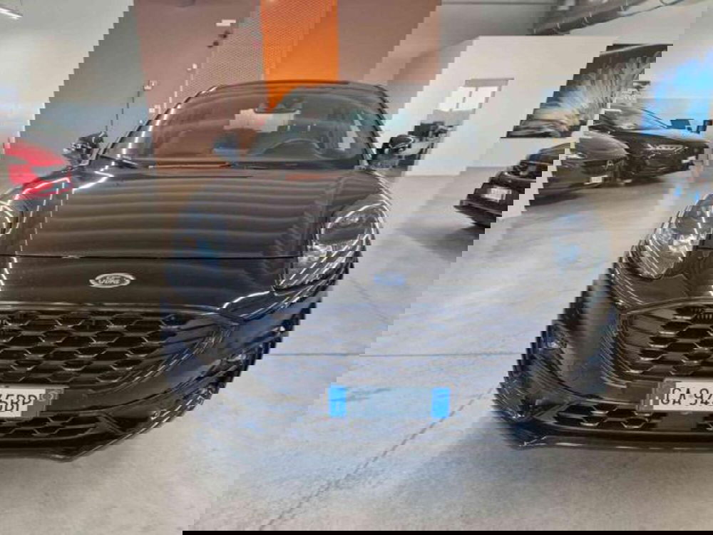 Ford Puma usata a Bologna (2)