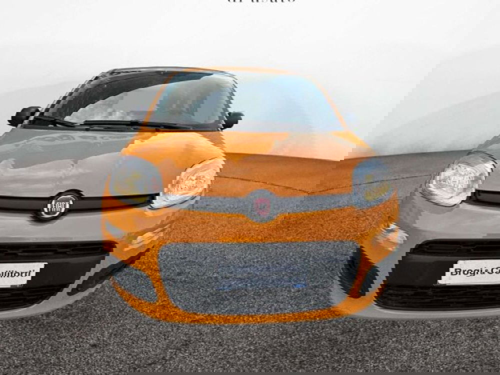 Fiat Panda usata a Firenze (2)