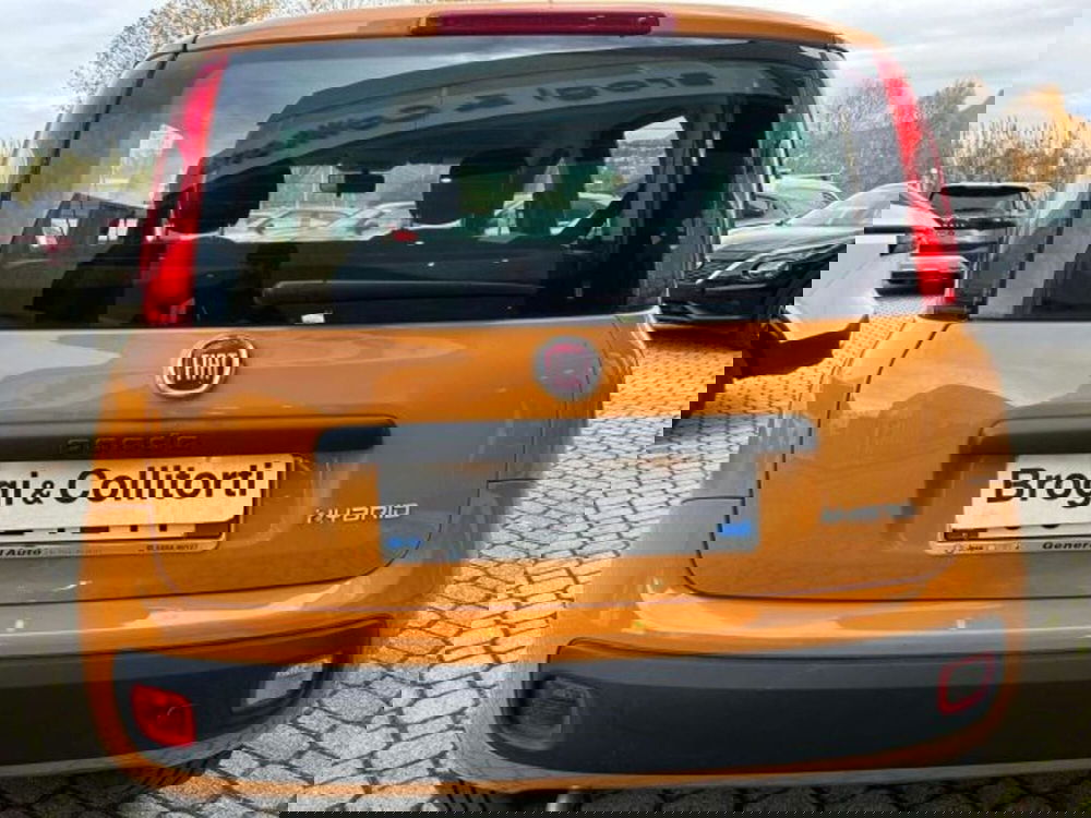 Fiat Panda usata a Firenze (5)