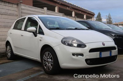Fiat Punto 1.2 8V 3 porte Lounge del 2016 usata a Venezia