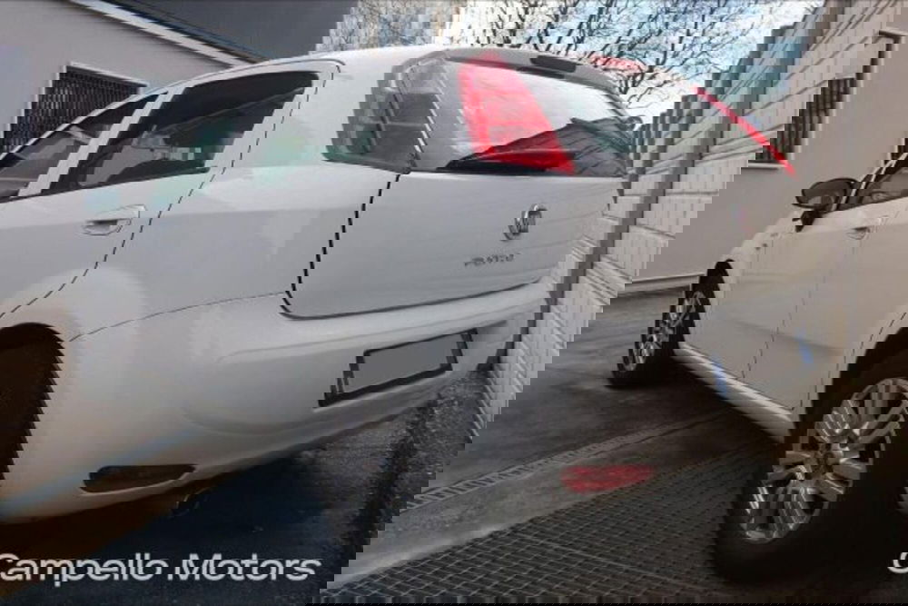 Fiat Punto usata a Venezia (3)