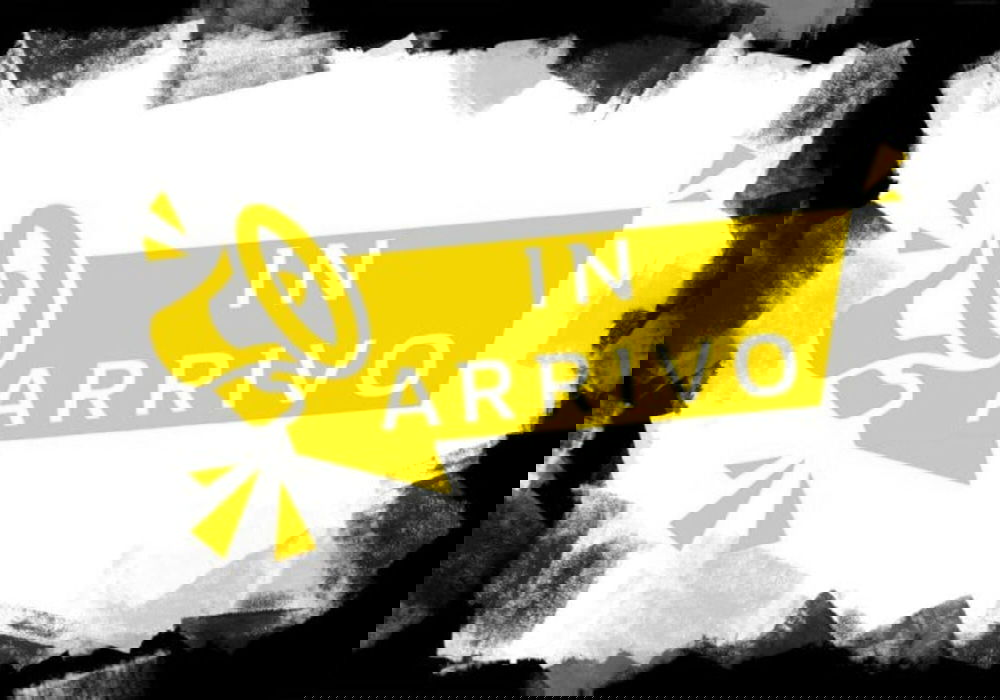 Renault Clio usata a Potenza