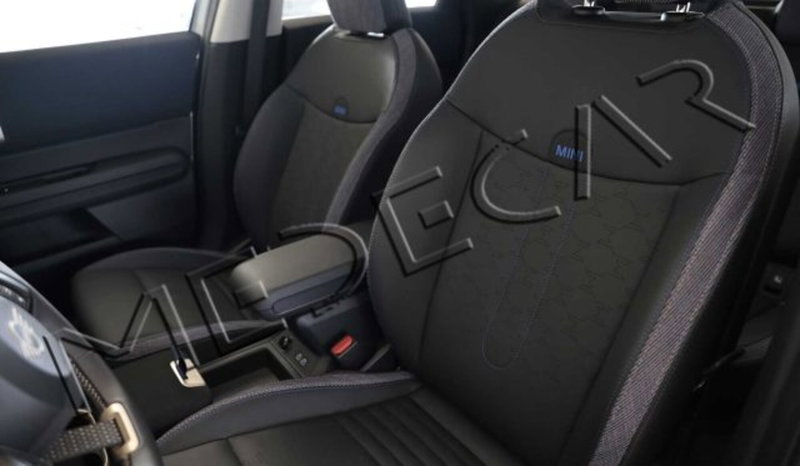 MINI Mini Countryman usata a Potenza (10)