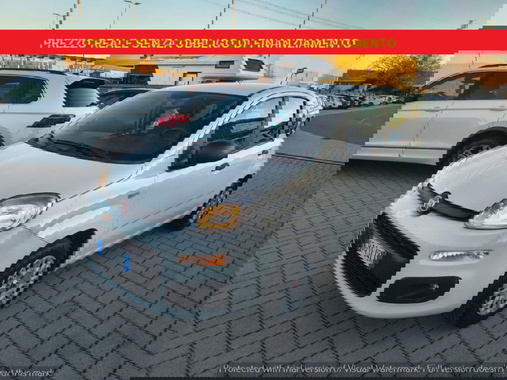 Fiat Panda usata a Firenze