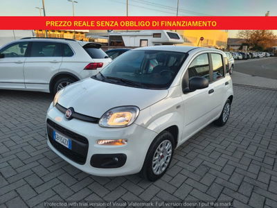 Fiat Panda 1.2 EasyPower Easy del 2020 usata a Montelupo Fiorentino