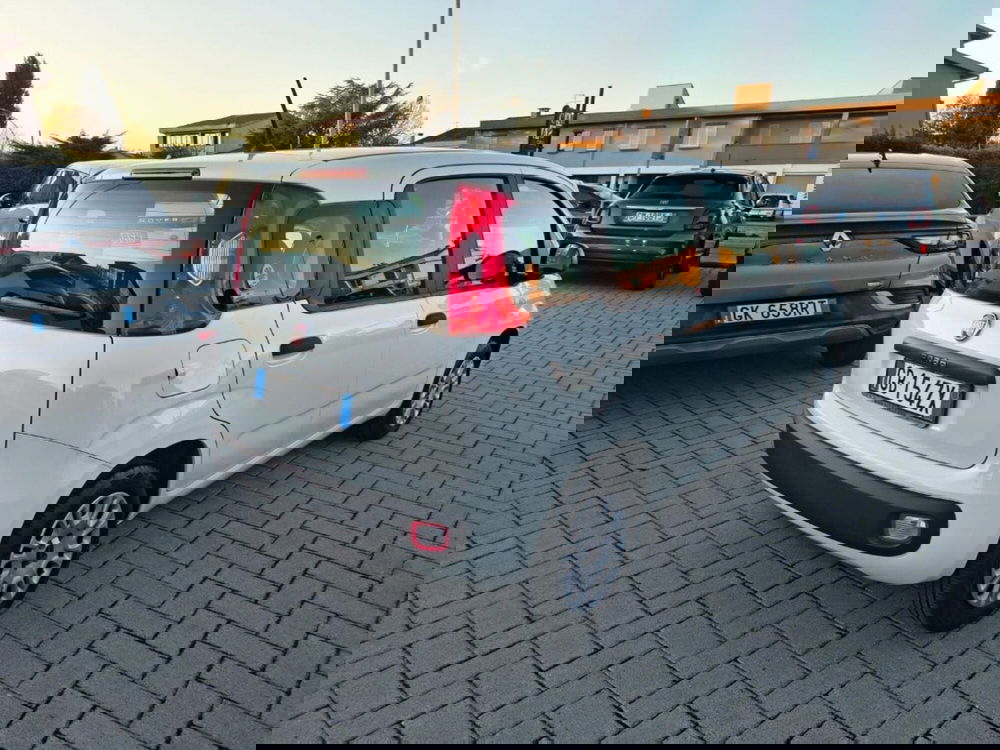 Fiat Panda usata a Firenze (4)