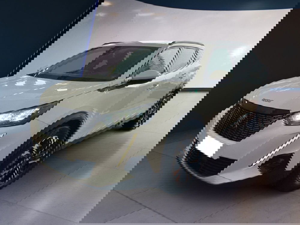 Peugeot 2008 usata a Torino (2)